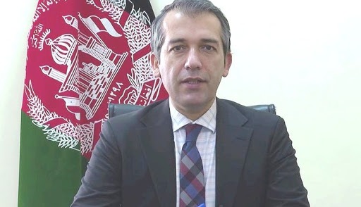 صدیقی: طالبان از جنگ دست بکشند و وارد مذاکرات صلح شوند