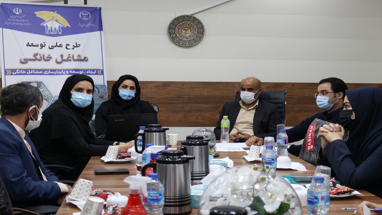 طرح مشاغل خانگی نیازمند همراهی دستگاه‌های اجرایی