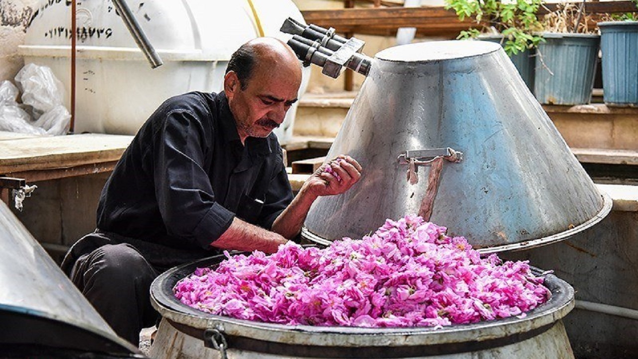 گلاب گیری 
