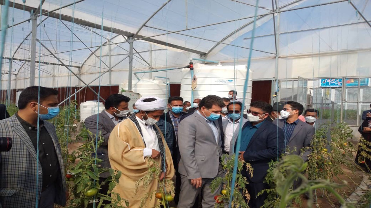 یک واحد گلخانه هیدروپونیک در فهرج به بهره برداری رسید