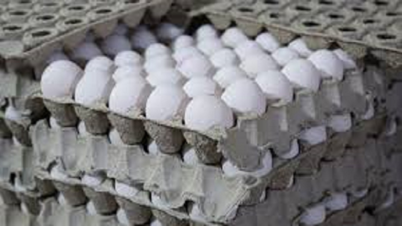 کشف نزدیک به ۱۱ تن تخم مرغ غیرمجاز در بناب