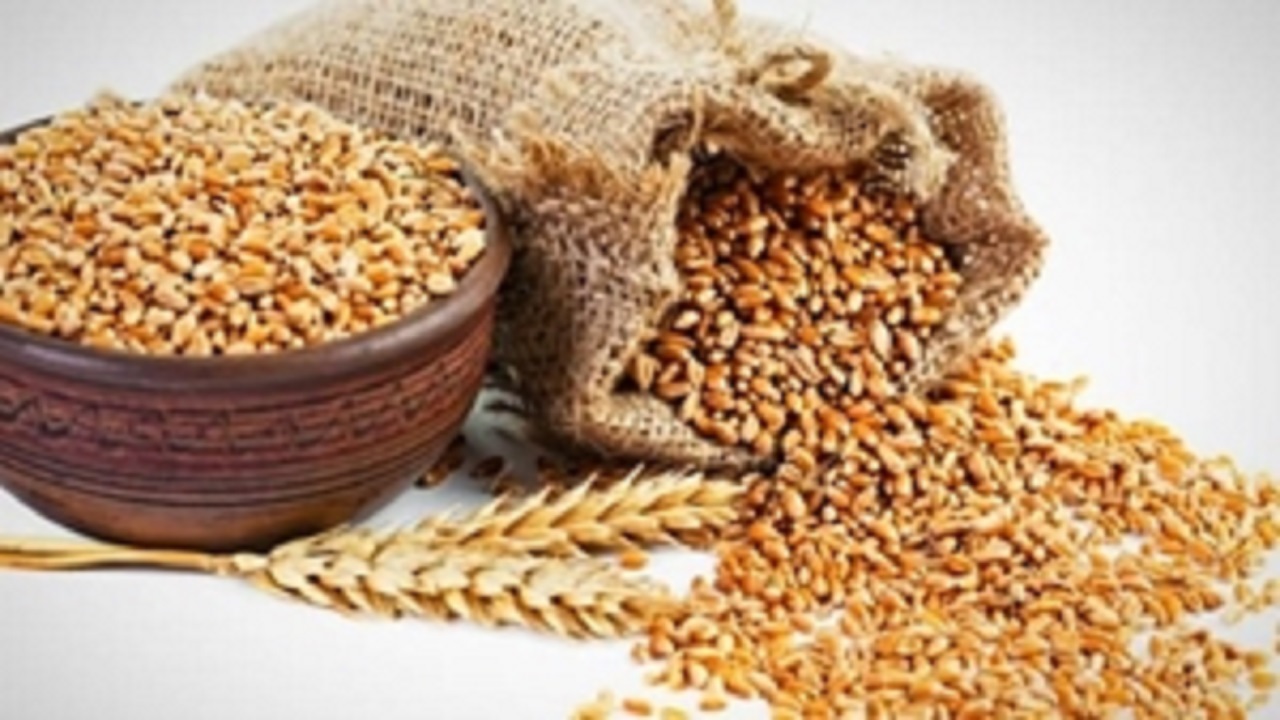 جریمه ۶۰میلیون تومانی برای گرانفروشی جو در فردوس