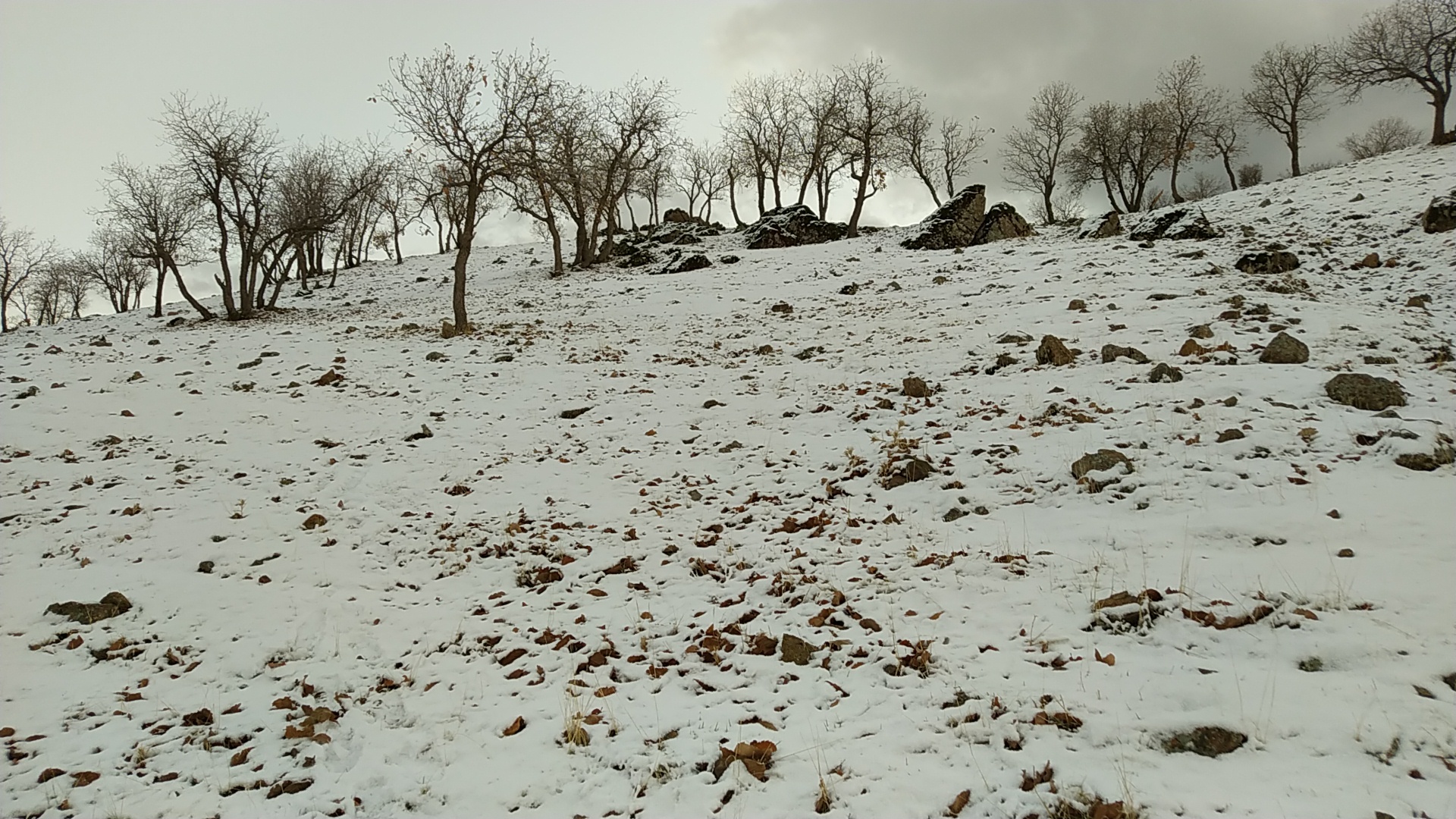 سرما و یخبندان در استان های کشور/ امداد رسانی به در راه ماندگان ادامه دارد + فیلم