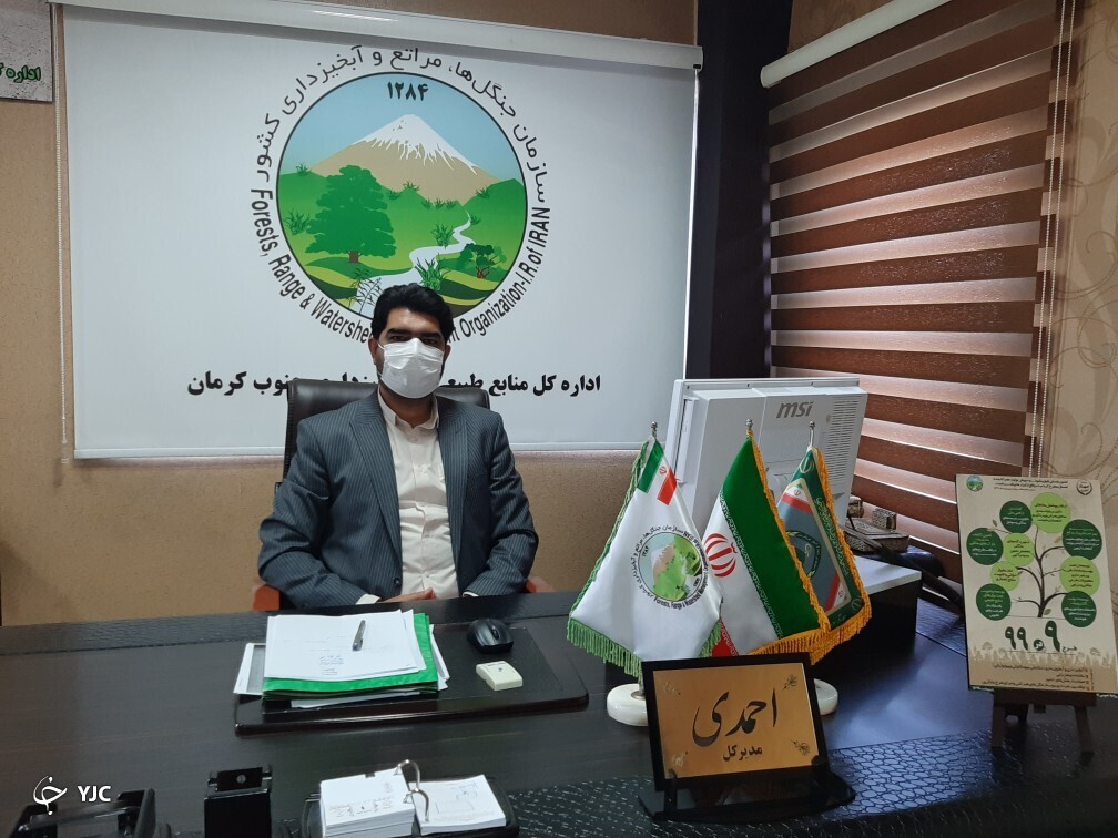 جدال مرگ و زندگی در جازموریان جدال مرگ و زندگی در جازموریان