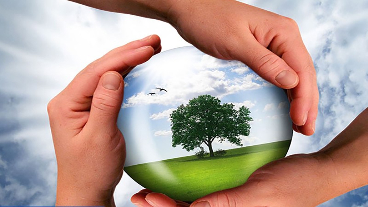 کسب رتبه نخست منابع طبیعی مهاباد در جذب همیار طبیعت