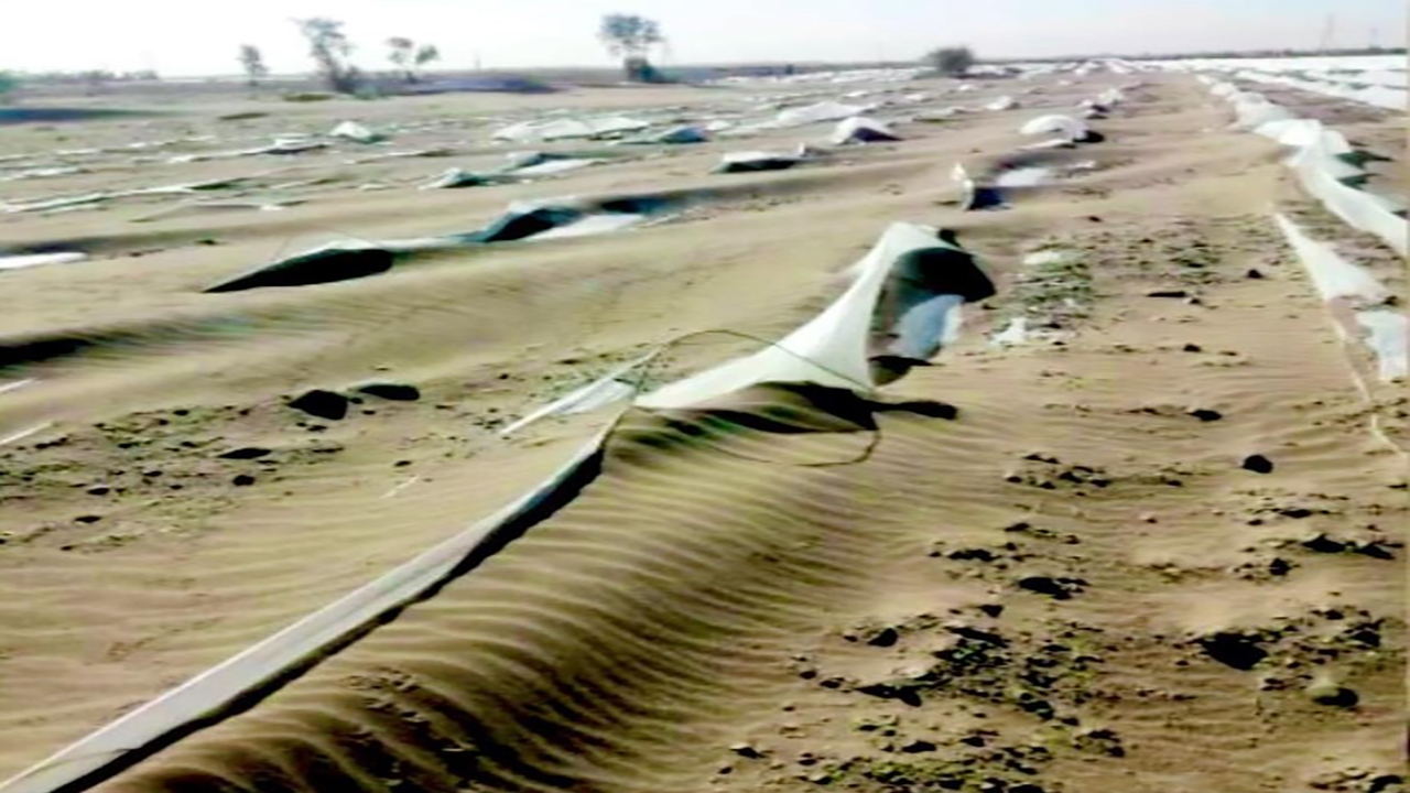 طوفان درجازموریان 