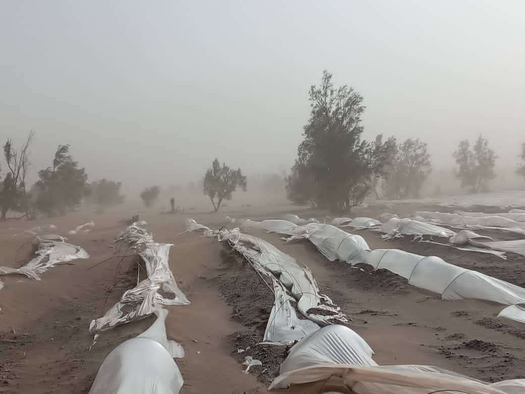 طوفان درجازموریان 