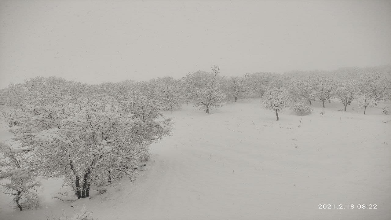 «روستای علی آباد دمق» رخت زمستانی بر تن کرد + فیلم و تصاویر