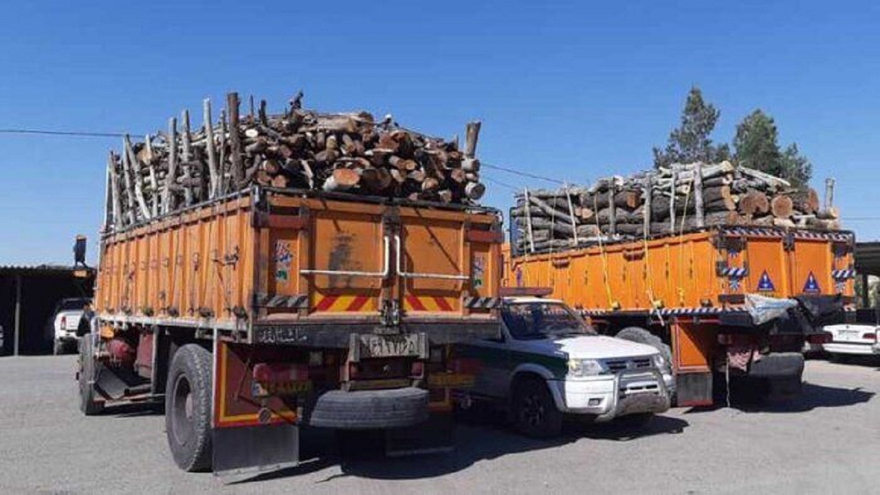 دستگیری ۶۸ نفر به جرم حمل چوب قاچاق در دامغان