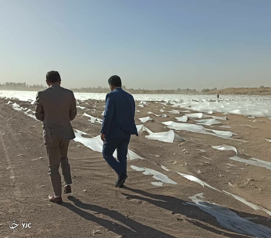 طوفان و سرما بیش از ۲۰۰ میلیارد تومان به رودبار خسارت زد