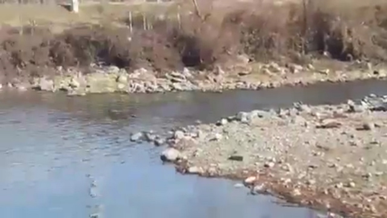 تیغ بران اداره گاز آستارا بر نان ما‌هیگیران + فیلم