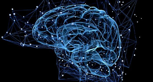 چگونه در گذر زمان، شخصیت تغییر می&zwnj;کند؟