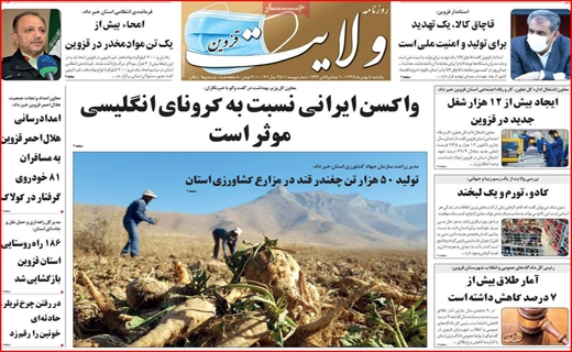 ولایت