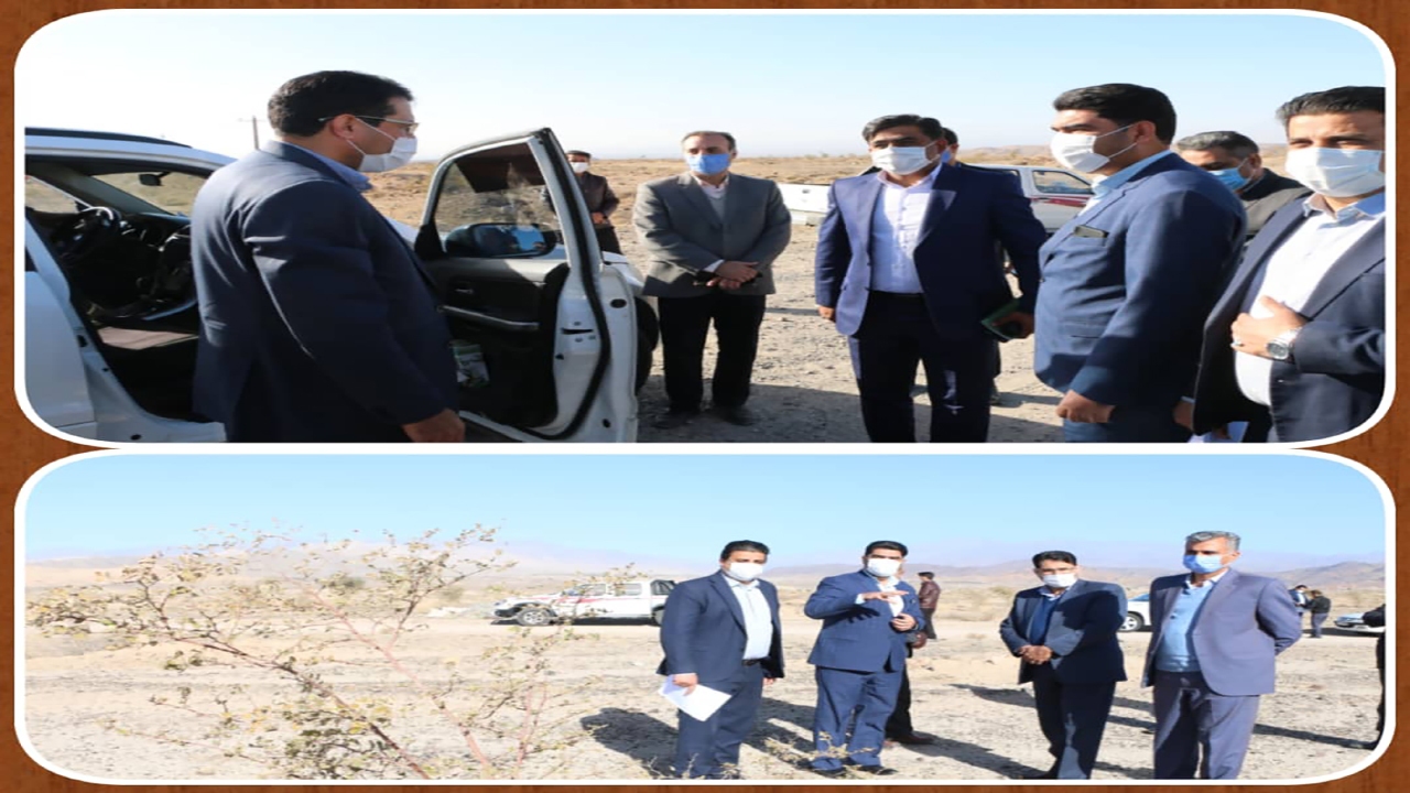 مشکلات مالی جنگل کاری تل سیاه جیرفت رفع می شود