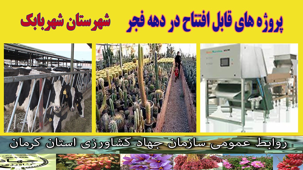 بهره برداری از ۳ طرح کشاورزی و دامپروری در شهربابک