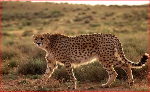 جذابترین اخبار استان ها