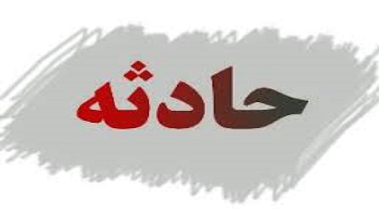 حمله پلنگ به یک کودک در نیک شهر