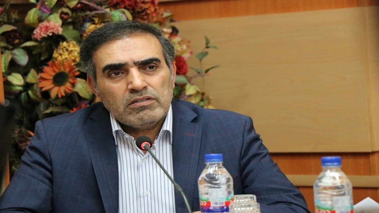 آمادگی بخش تعاون برای تامین بازار ارمنستان