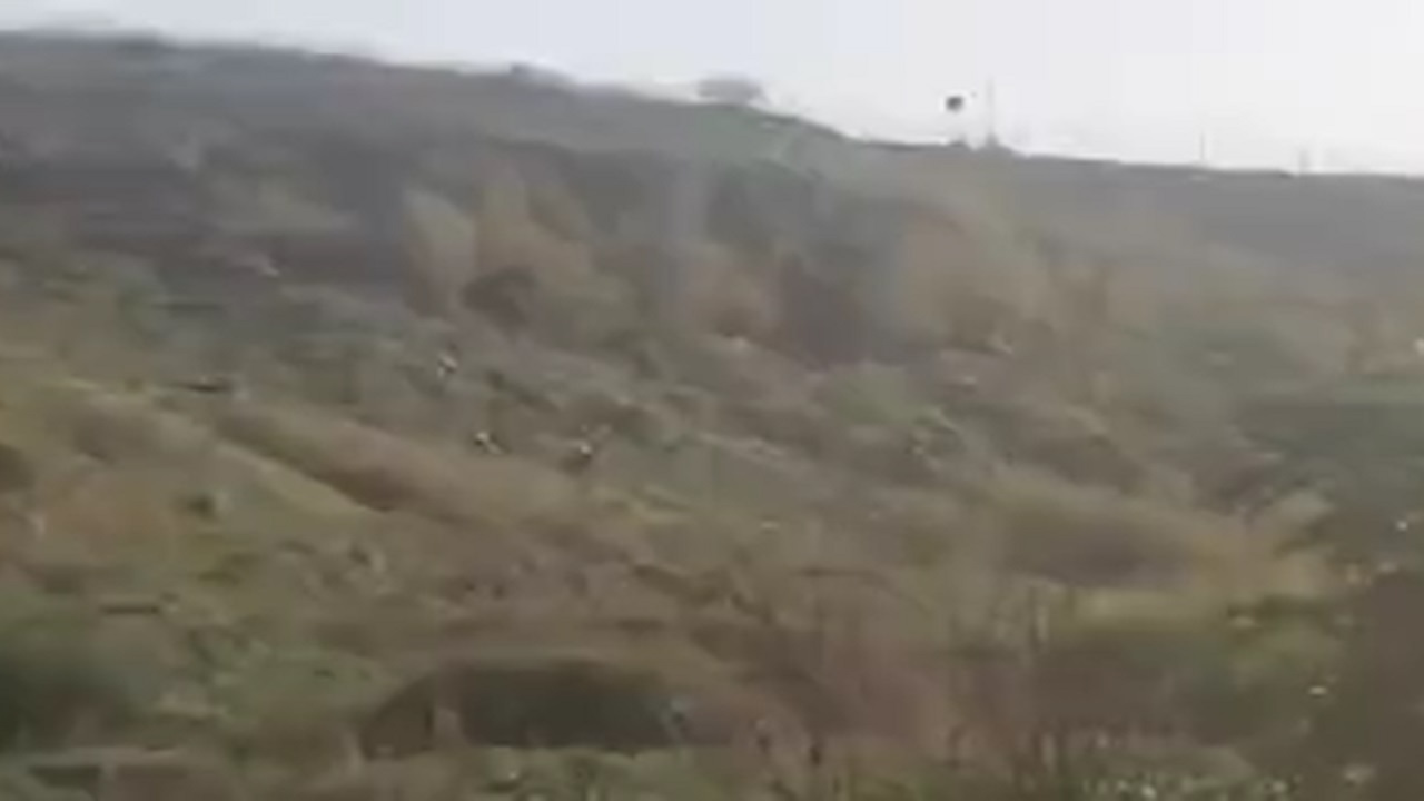 سرقت گاو توسط نظامیان صهیونیستی + فیلم