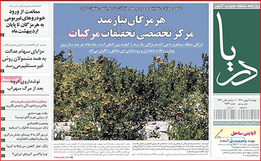 مرغ همسایه غاز نیست/ یارانه نقدی سال آینده دو برابر می شود/ سهام عدالت ریخت!