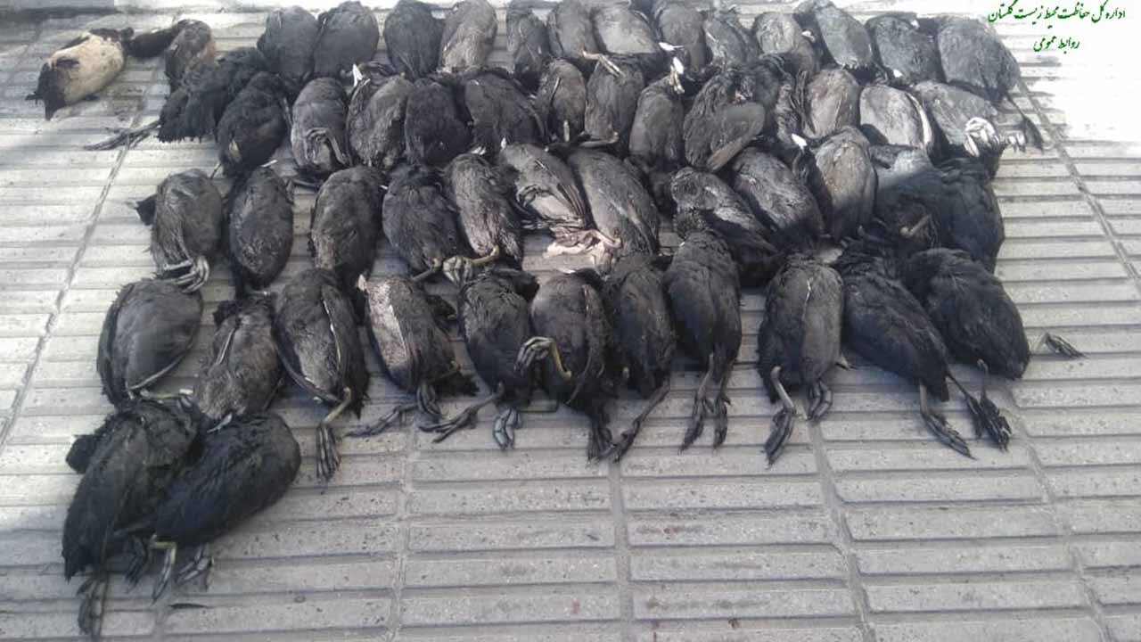 شکار با لباس گردشگری