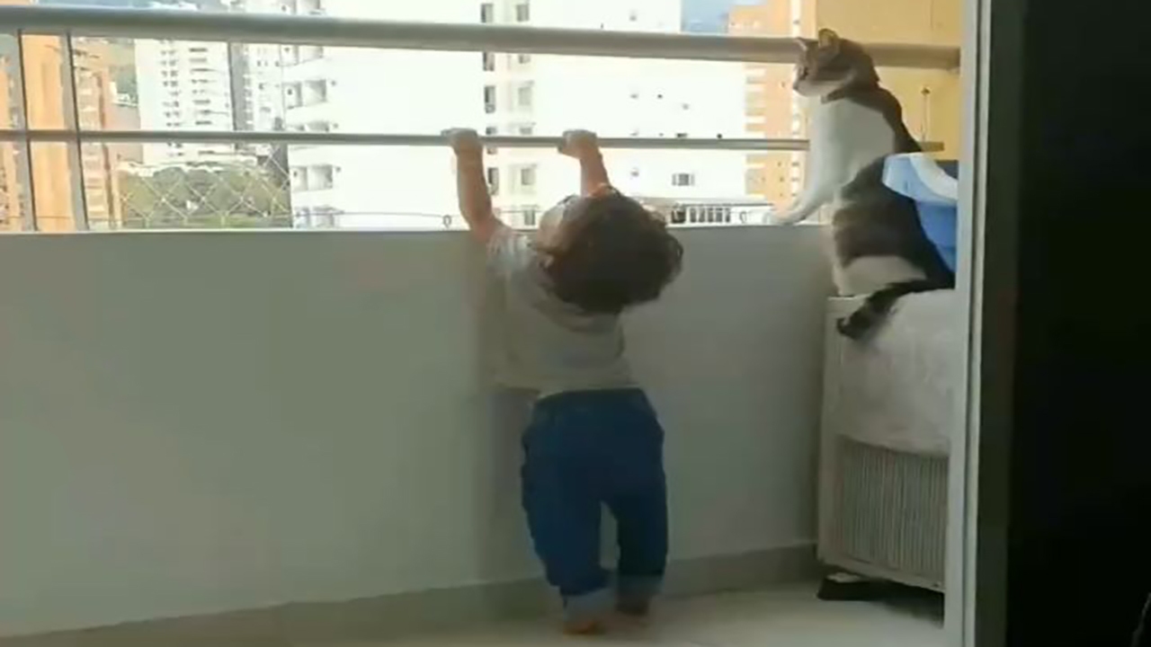 مواظبت یک گربه باهوش از کودک خردسال + فیلم