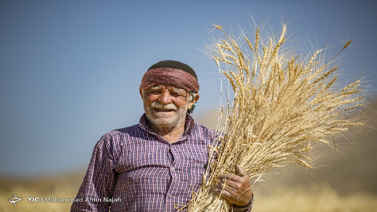 ۱۰.۵ میلیون تن آرد در کشور توزیع شد