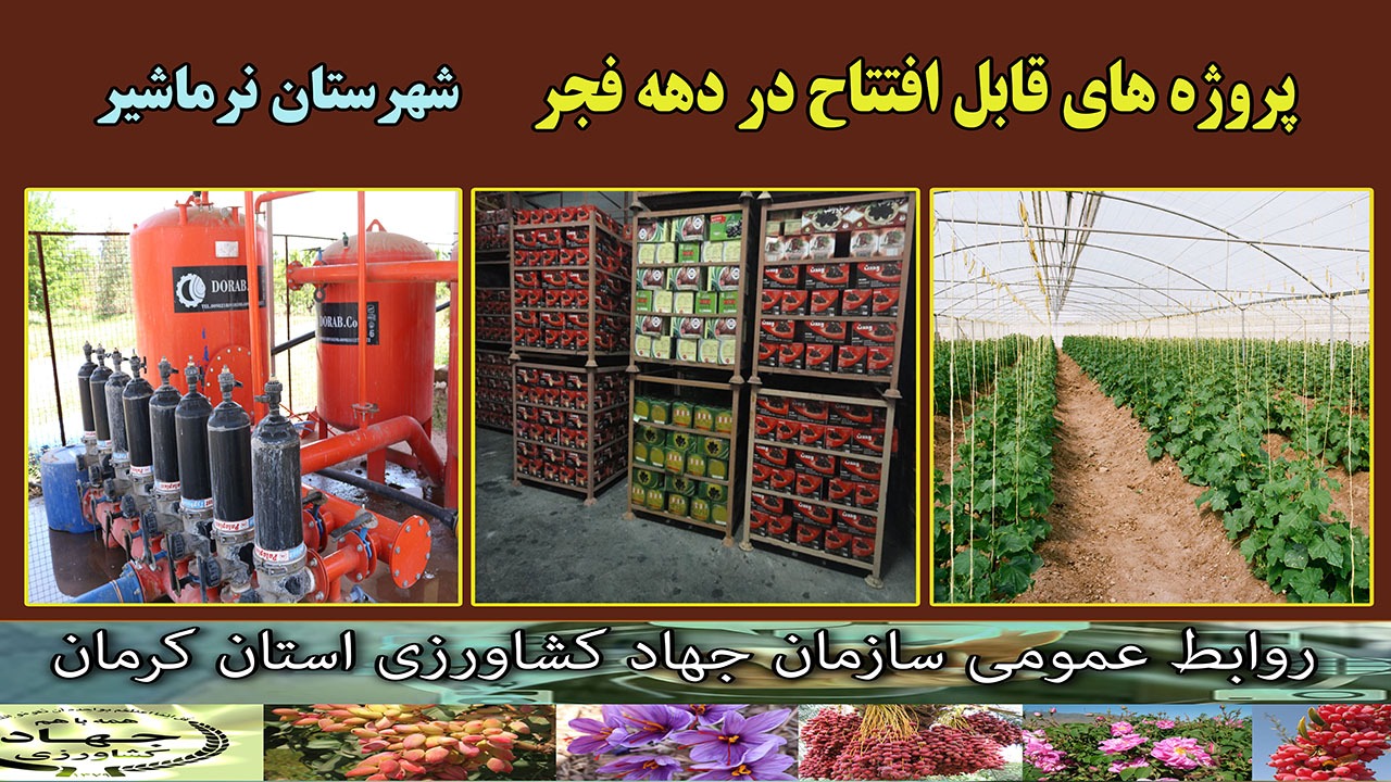 بهره برداری از ۱۲ طرح کشاورزی و صنایع تبدیلی در نرماشیر