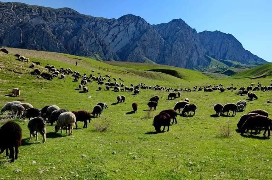 دولت افغانستان چراگاه‌ها، کوه ها و آب های این کشور را ثبت می کند