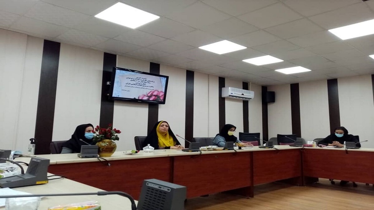 «بصیرت‌افزایی» کودکان و نوجوانان راه‌کار توانمندسازی نسل تازه‌ی انقلاب در برابر تهدیدها