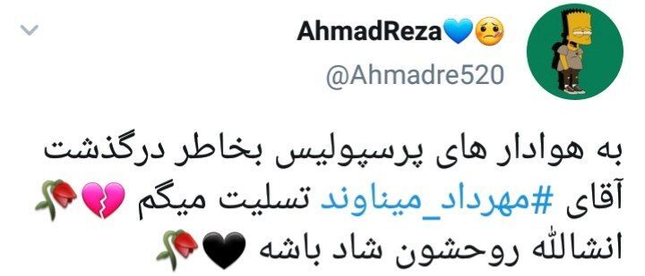 درگذشت مهرداد میناوند