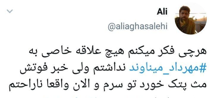 مهرداد میناوند