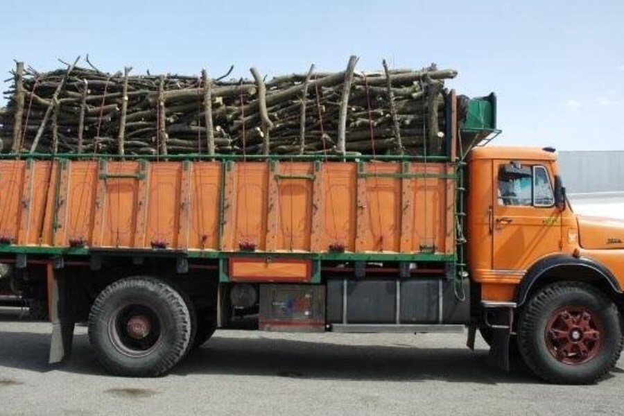 کشف ۸ تن چوب جنگلی قاچاق در سیاهکل