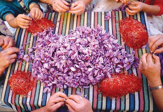 تولید زعفران در ایران