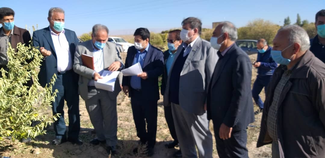 خسارت هزار میلیارد تومانی سرما به محصولات کشاورزی فارس
