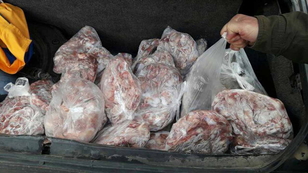 گوشت‌های غیربهداشتی که به سفره مردم نرسید