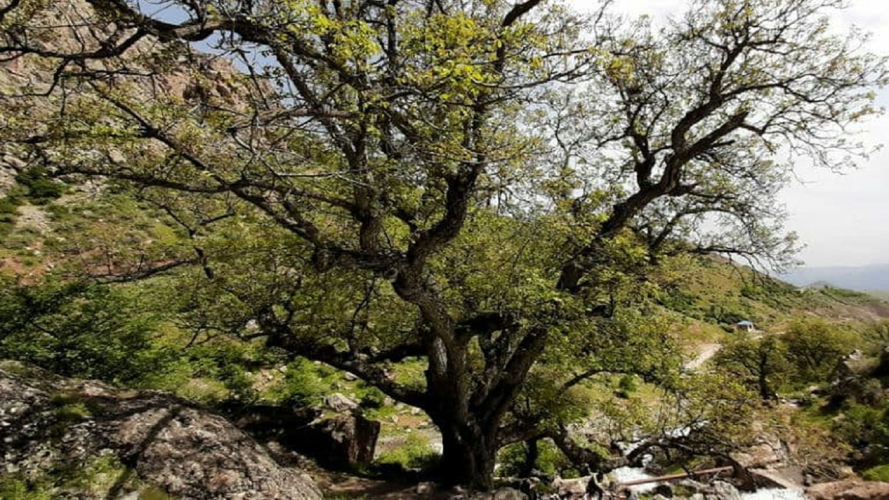 ۴ اثر طبیعی قزوین واجد ارزش ثبت ملی شناخته شد