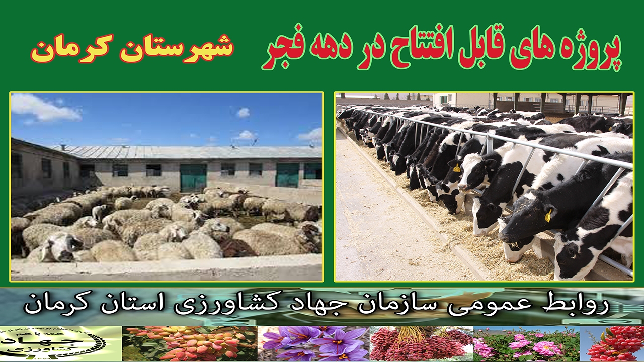 بهره برداری از ۱۹ طرح کشاورزی و دامپروری در کرمان