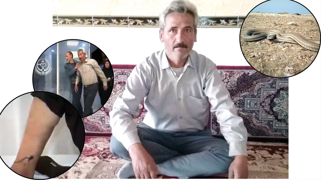 مورد عجیب مرد ۵۰ ساله خبرساز شد / راز مارگزیدگی این مرد چیست؟ + عکس