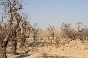 بهره برداری از ۲ طرح بیابان زدایی در خوزستان