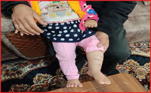 آنچه در استان&zwnj;ها گذشت؛