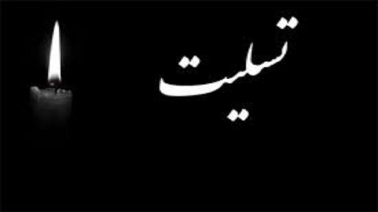 پیام تسلیت امام جمعه  تبریز درپی شهادت فرمانده تفحص