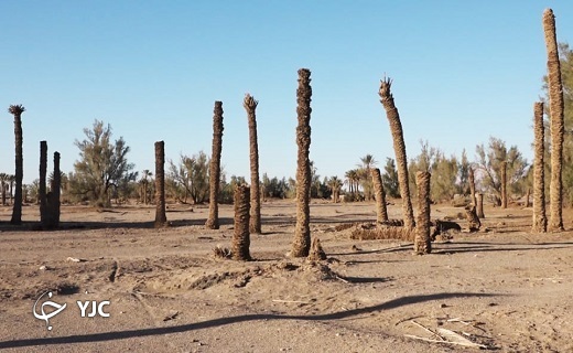 قدیمی&zwnj;ترین روستای بافق در عطش بی آبی+تصاویر