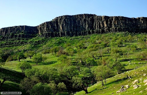 دشت راق 