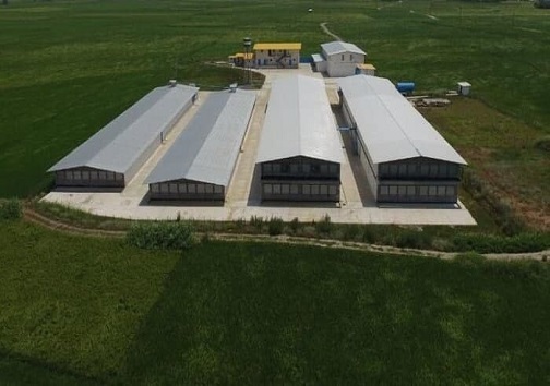 از کارگری تا شکستن رکورد جهانی