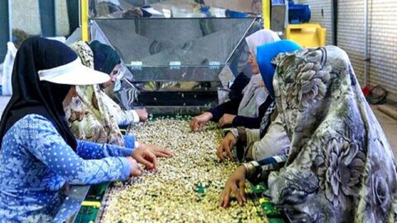 ایجاد اشتغال برای بیش از ۵۵۰ نفر از روستاییان شهرستان فامنین