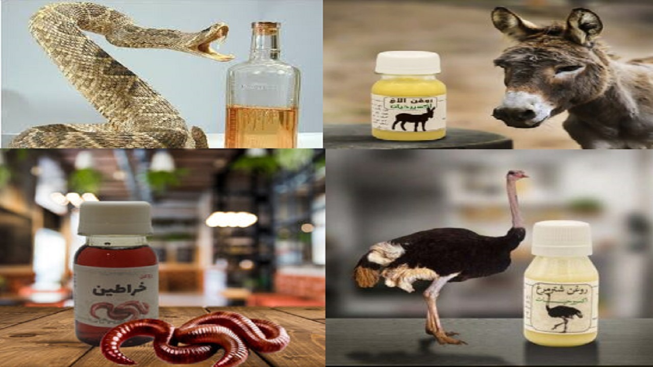 همه چیز درباره روغن‌های حیوانی/ از روغن الاغ و عقرب تا ادعای معجزه خراطین