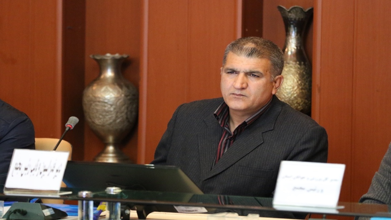 صابونچی: مسابقات لیگ قایقرانی در ۴ رشته المپیکی برگزار می‌شود