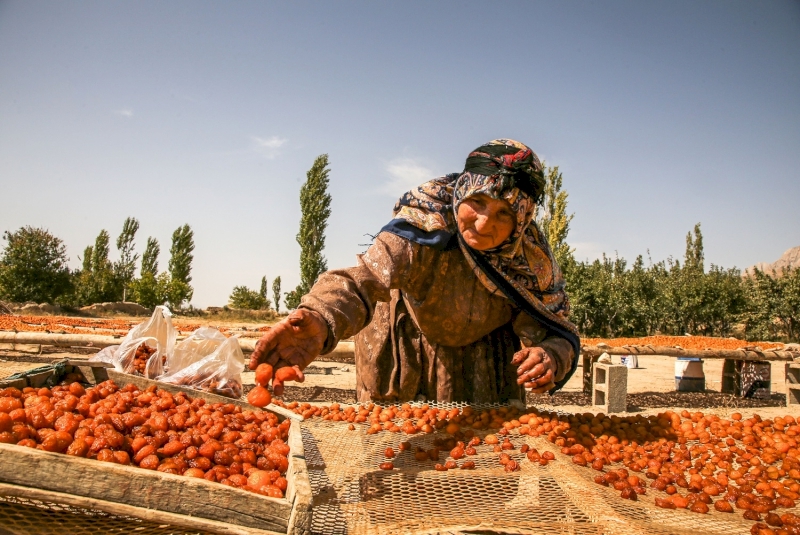 سوغات خراسان شمالی هم خوشمزه و هم ارگانیک / بهترین سوغات خراسان شمالی چیست؟