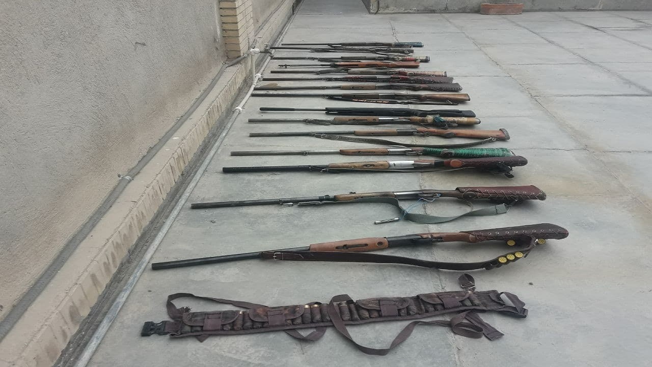 ۱۵ قبضه اسلحه شکاری در تالاب بین‌المللی هامون کشف شد